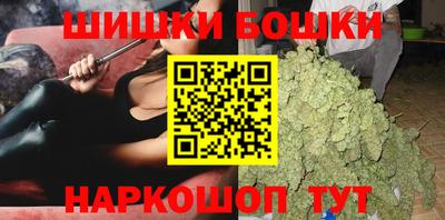 дмт Аргун
