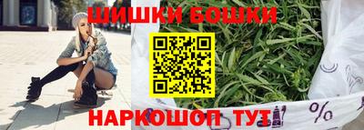 дмт Аргун