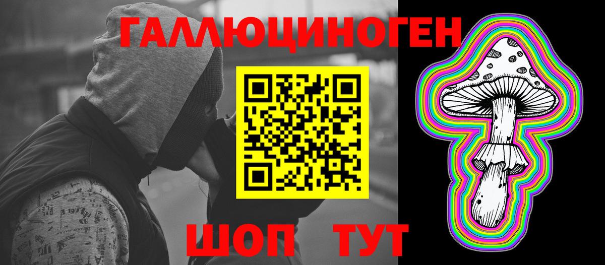 Артём  Галлюциногенные грибы MAGIC MUSHROOMS  Вход с VPN 